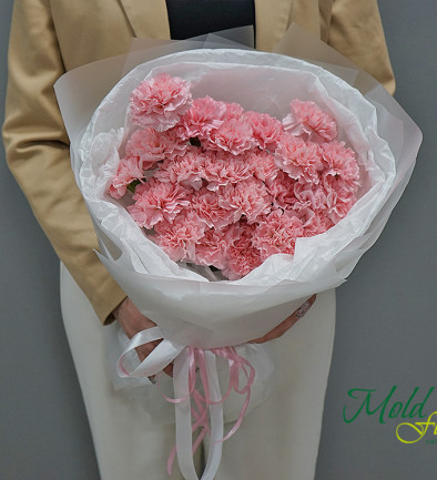 Bouquet of pink carnations photo 394x433
